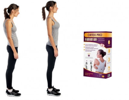 ORTEX PRO (Ортекс Про) - комплекс для спины