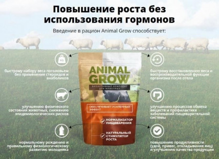ANIMAL GROW - біоактивні комплекс для тварин