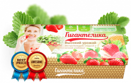 Гигантелика - невероятный урожай клубники