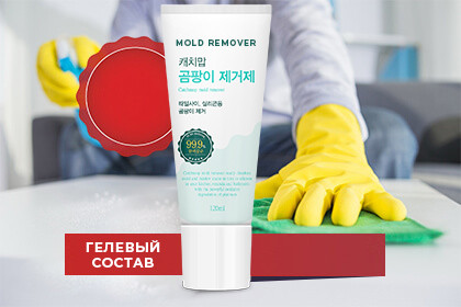 Mold Remover (Молд Ремовер) - средство для удаления плесени