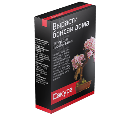 Бонсай - набор для выращивания дерева