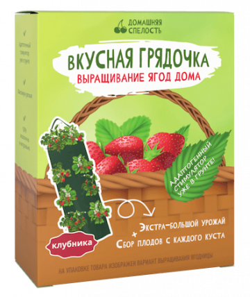 Вкусная Грядочка - сочные ягоды в домашних условиях
