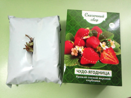 Чудо-ягодница Сказочный сбор