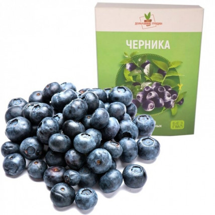 Домашняя ягодница - черника