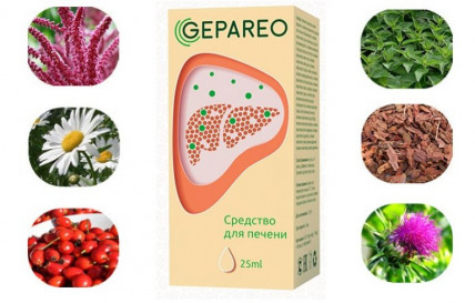 Gepareo (Гепарео) - средство для печени