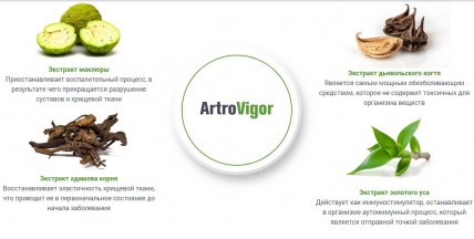 ArtroVigor (АртроВигор) - гель для суставов