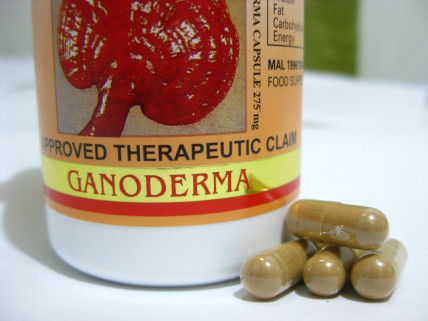 Ganoderma (Ганодерма) - засіб для схуднення
