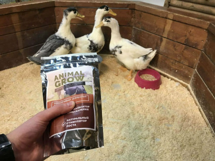 ANIMAL GROW - біоактивні комплекс для тварин