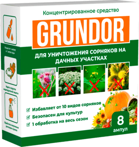 Грундор - средство для уничтожения сорняков