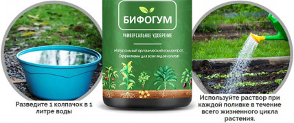 БИФОГУМ - удобрение
