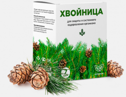 Хвойница - порошок для иммунитета