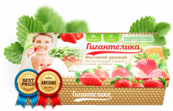 Гигантелика - невероятный урожай клубники