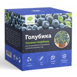 Семена голубики Денис Блю