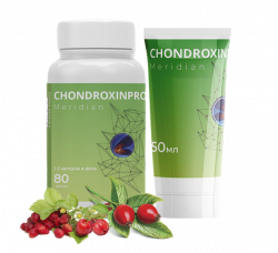 ChondroxinPro Meridian капсулы и крем для суставов