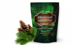 Хвойный напиток для защиты и оздоровления организма