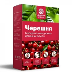 Черешня - набор для выращивания мини-дерева